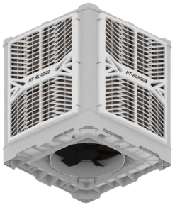 تایفون پایین زن