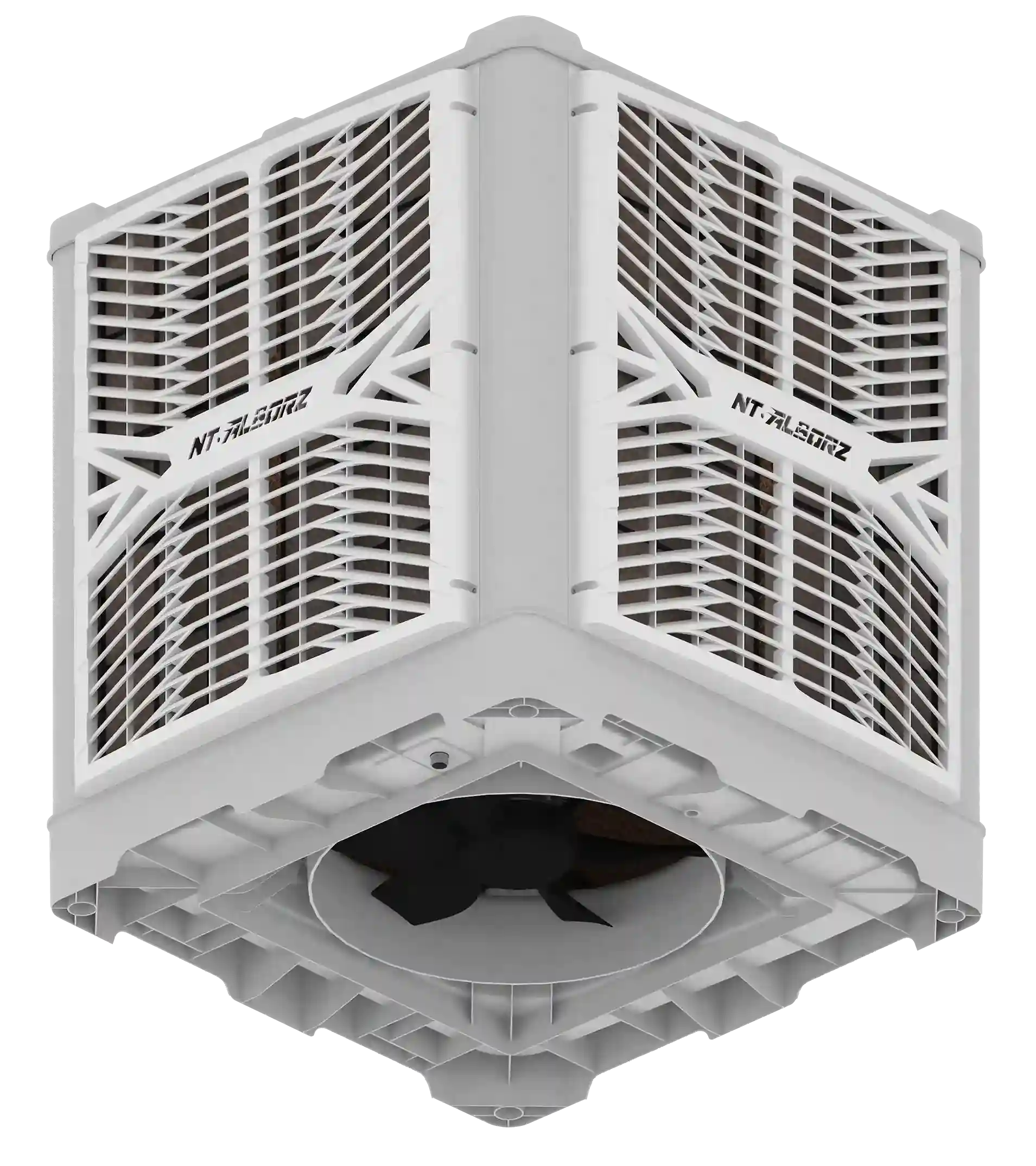 تایفون پایین زن